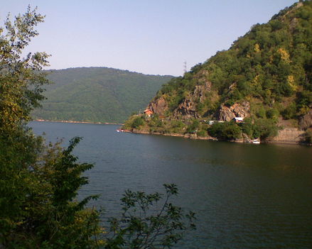 dsc 05
