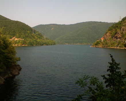 dsc 07