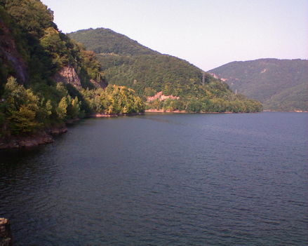 dsc 10