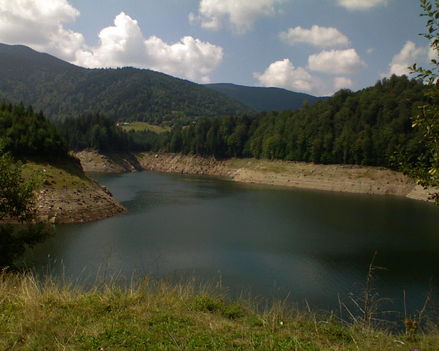 dsc 11