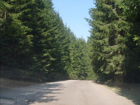 dsc 14