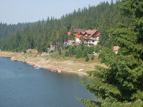 dsc 15