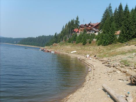 dsc 17