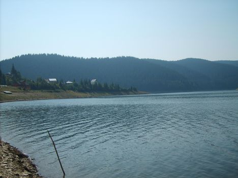 dsc 19
