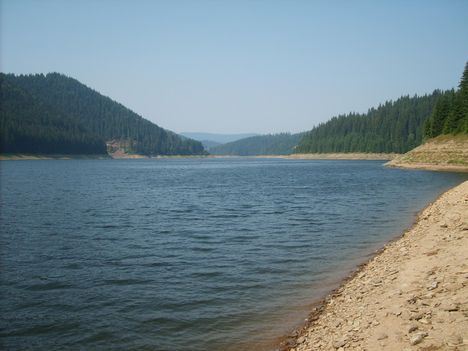dsc 20