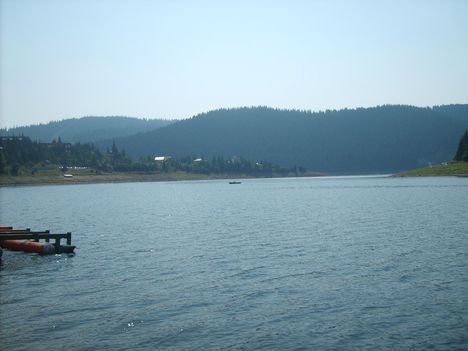 dsc 21