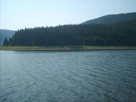 dsc 22