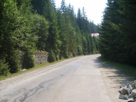 dsc 24