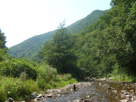 dsc 25