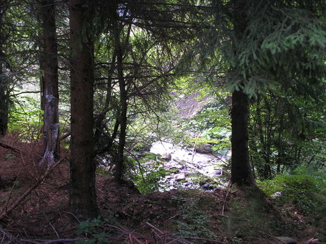 dsc 27