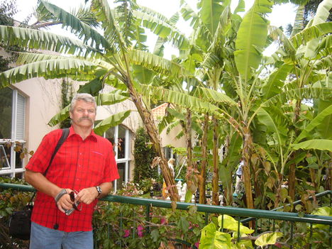 Madeira  2009.június