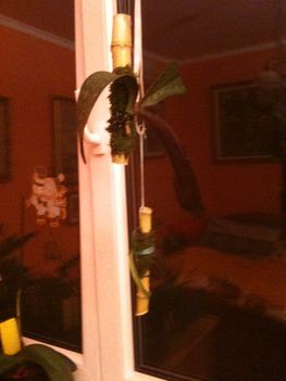 Orchideák 043