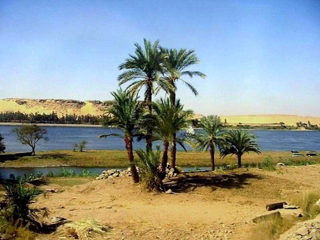 Nilus partján