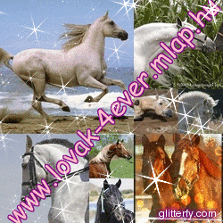 glitterfy072412287Q42