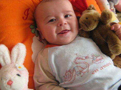 kristof 176