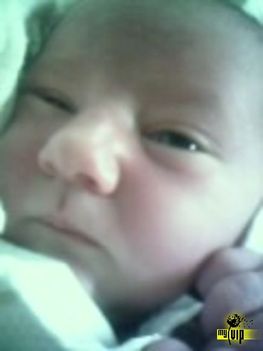 lilibaby