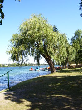neufeldersee 4