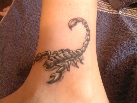 scorpion