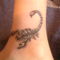 scorpion