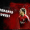 Torres