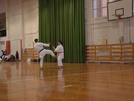 vizsgám kék övre (kihon ippon kumite)