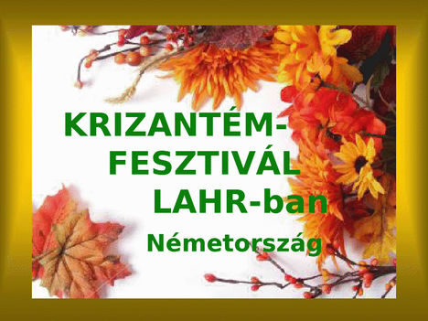 Krizantin fesztivál Lahrban Németorszában. 34