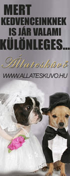 allateskuvo1_banner_160x400