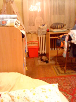 DSC00493