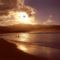 Surfers at Dusk, Hawaii