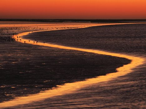 Wadden Island Estuary at Sunset, The Netherlands