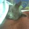 Photo0001