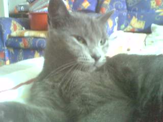 Photo0012