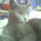 Photo0012