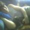 Photo0013