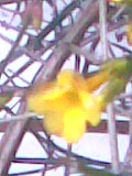 Kép011