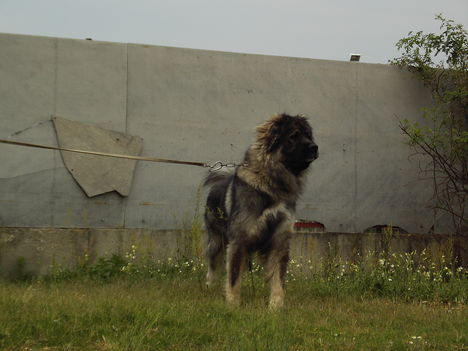 Kép 012