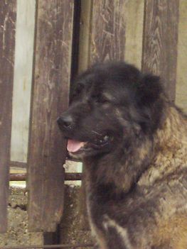 Kép 021