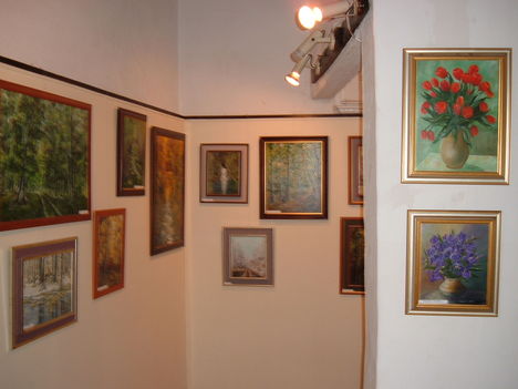 Csenger Helytörténeti Múzeum  Galéria 2009 05 01) 013