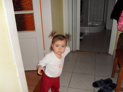 2009 DECEMBER 1
