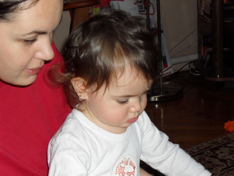2009 DECEMBER 2