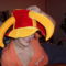 2009 DECEMBER 5