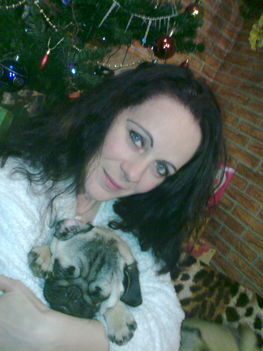 20091228299