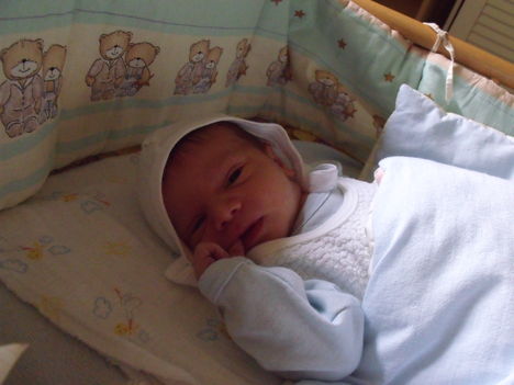 Alex 066