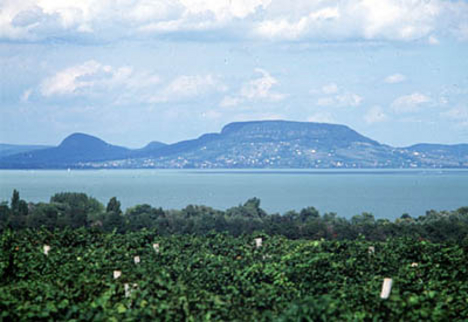 balcsi14
