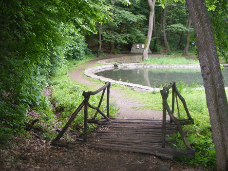 DSCF1004