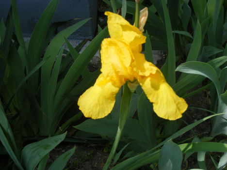 DSCF1110