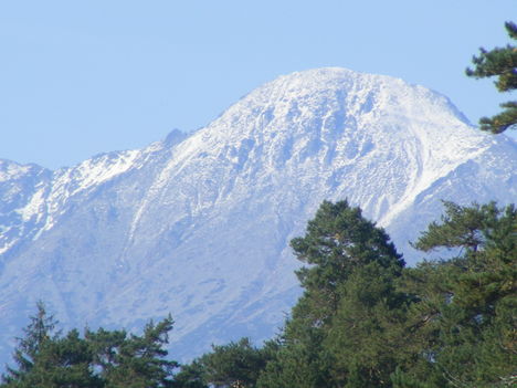 Kép 484