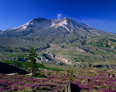 Mount Saint Helens a béke képében