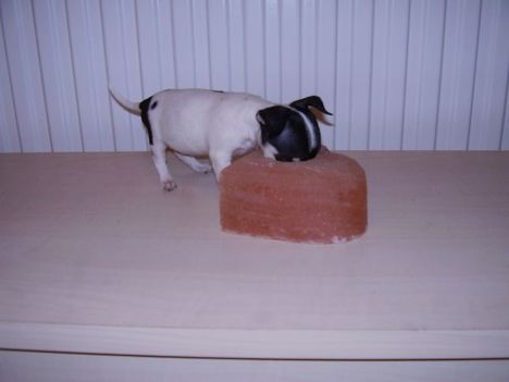 PB200696