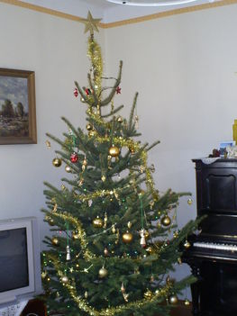 Jaj, de pompás fa, a karácsonyfa...